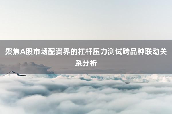 聚焦A股市场配资界的杠杆压力测试跨品种联动关系分析